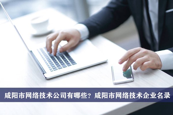 咸阳市网络技术公司有哪些？咸阳网络技术企业名录