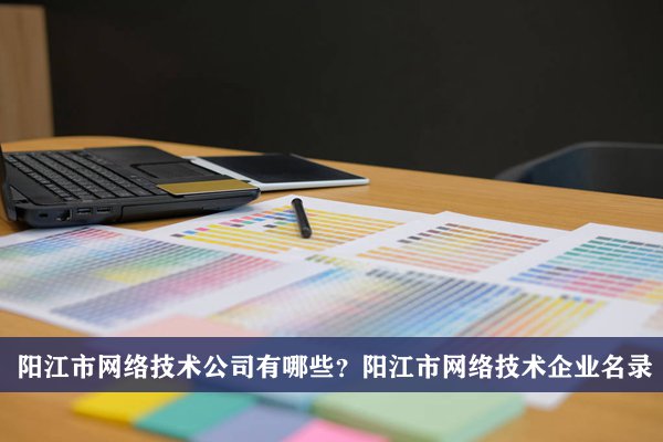阳江市网络技术公司有哪些？阳江市网络技术企业名录