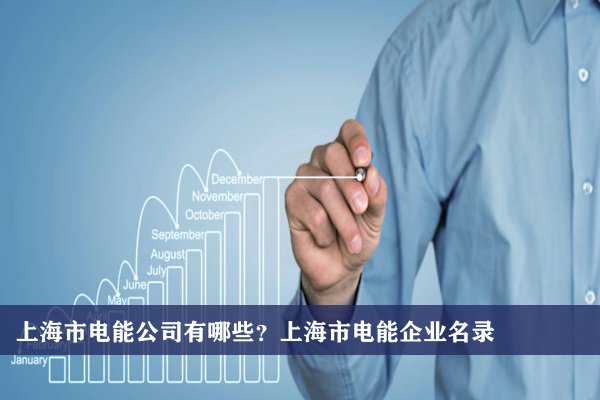 上海市电能公司有哪些？上海电能企业名录
